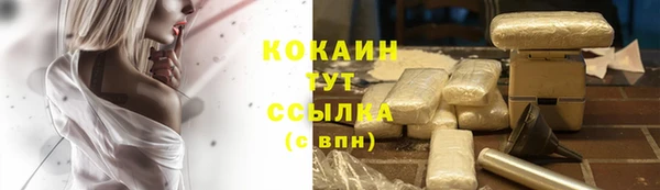 стаф Белокуриха
