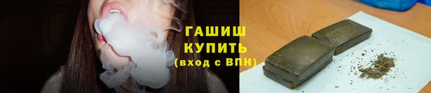 стаф Белокуриха