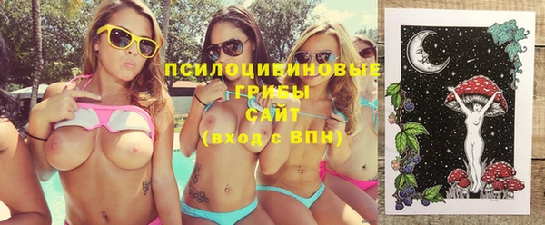 стаф Белокуриха