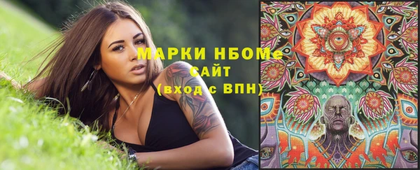 стаф Белокуриха