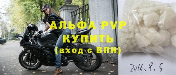 стаф Белокуриха