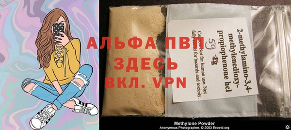 стаф Белокуриха
