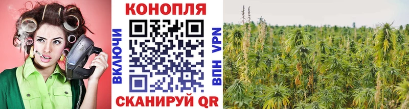 МАРИХУАНА тримм продажа наркотиков Дмитровск